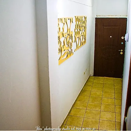 公寓 Happy Travellers Renovated 塞萨洛尼基